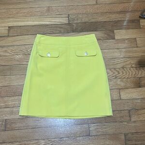 Loft Petites 00P - ALined Skirt